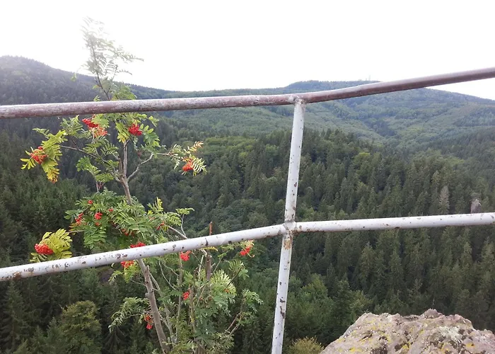 Daire Haus Saskia Wutha-Farnroda